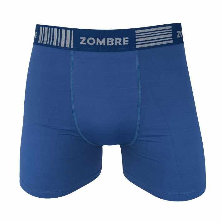 KIT COM 5 CUECAS BOXER MASCULINA MICROFIBRA
