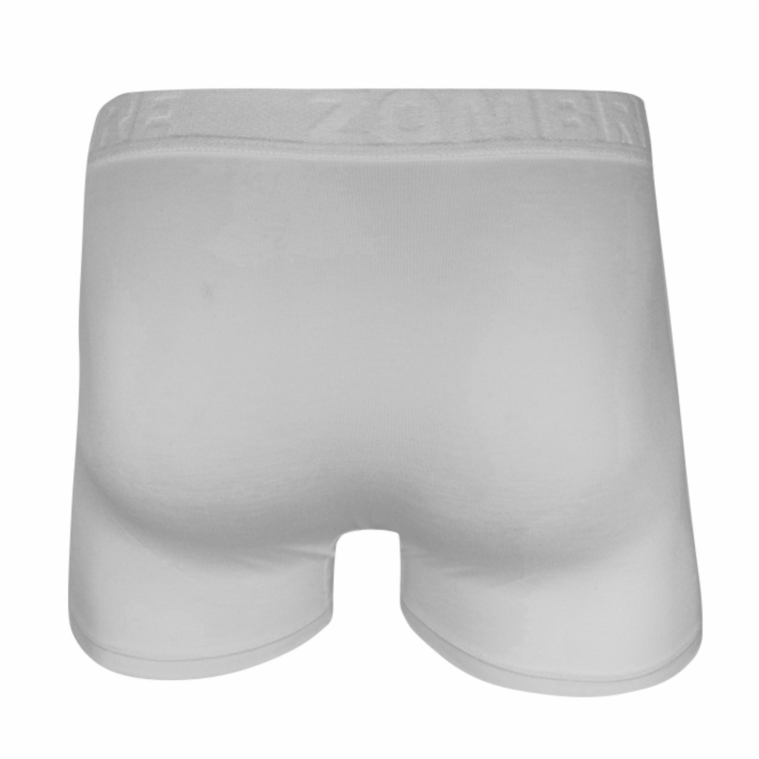 KIT 10 CUECAS BOXER MODAL